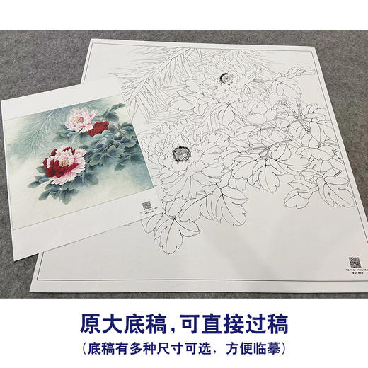 【大彩图】李晓明工笔画白描底稿斗方小品《洛浦春光》牡丹临摹勾线花鸟线稿K042 商品图1
