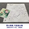 【大彩图】李晓明工笔画白描底稿斗方小品《牡丹灰文鸟》临摹勾线花鸟线稿KA10 商品缩略图1