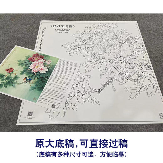 【大彩图】李晓明工笔画白描底稿斗方小品《牡丹灰文鸟》临摹勾线花鸟线稿KA10 商品图1