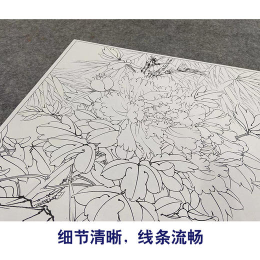 【大彩图】李晓明工笔画白描底稿斗方小品《牡丹锦鸡》临摹勾线花鸟线稿KA12 商品图4