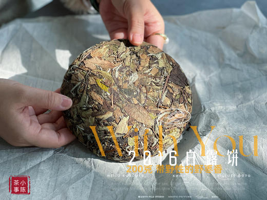 【7年来首发】2016白露饼，太姥山原仓储存，带着野性植物气息的枣香，独树一帜！ 商品图0