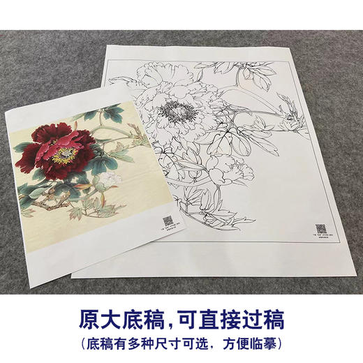 【大彩图】李晓明工笔画白描底稿斗方小品《暖香醉艳》牡丹临摹勾线花鸟线稿K044 商品图1