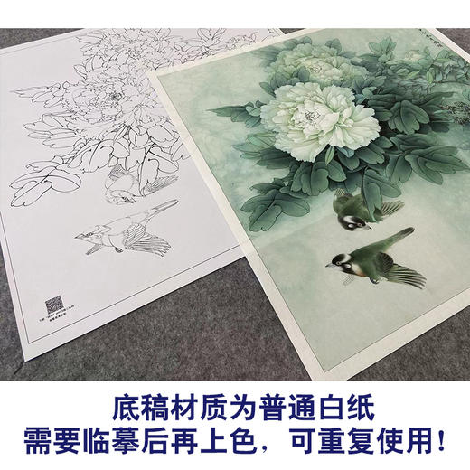 【大彩图】李晓明工笔画白描底稿斗方小品《白头双清》牡丹临摹勾线花鸟线稿K046 商品图3