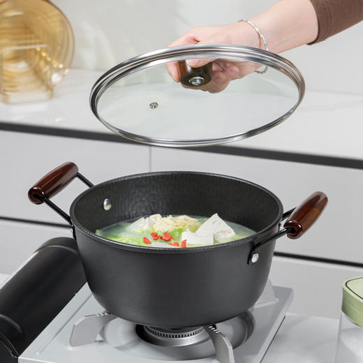 Debo德铂科达本套装锅明火电磁炉通用 商品图2