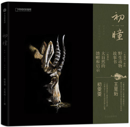 初瞳 ：我和我的野生动物朋友 王昱珩 / 初雯雯 著 商品图0