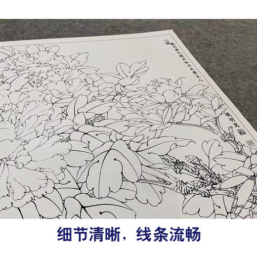 【大彩图】李晓明工笔画白描底稿斗方小品《白头双清》牡丹临摹勾线花鸟线稿K046 商品图4