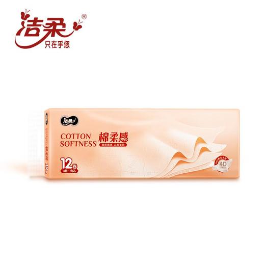 洁柔卷纸120g*12/提 商品图1