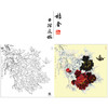 【大彩图】李晓明工笔画白描底稿斗方小品《和风花欲舞》牡丹临摹勾线花鸟线稿K041 商品缩略图0