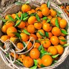 【云南好物】高山沃柑 4.5斤/8斤 商品缩略图4