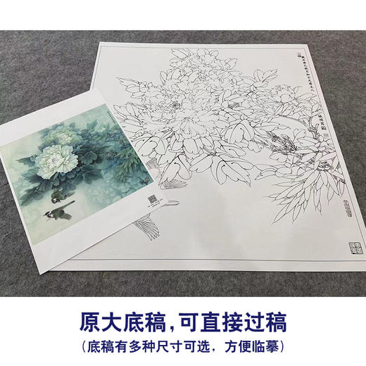 【大彩图】李晓明工笔画白描底稿斗方小品《白头双清》牡丹临摹勾线花鸟线稿K046 商品图1