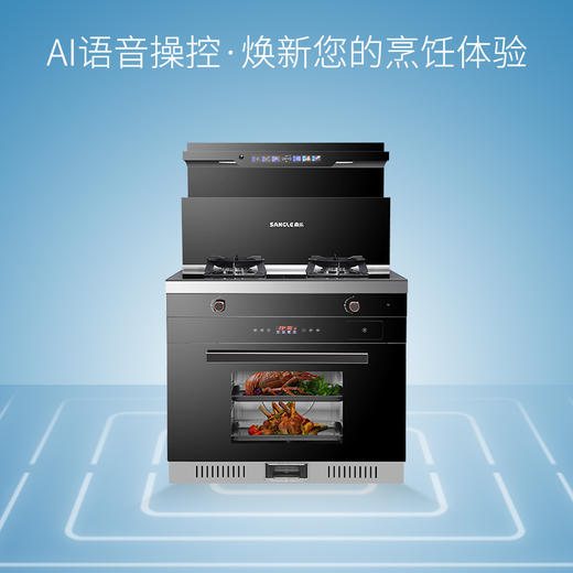 桑乐（SANGLE）集成灶JJZT/Y-ZK568 商品图0