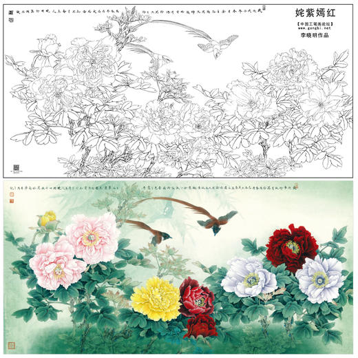 【大彩图】李晓明横幅工笔画白描底稿《姹紫嫣红》牡丹临摹勾线花鸟线稿KA27 商品图0