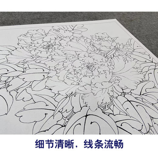 【大彩图】李晓明工笔画白描底稿斗方小品《洛浦初雨》牡丹临摹勾线花鸟线稿K047 商品图4