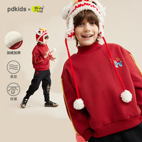 fx-儿童龙年刺绣印花卫衣PDWY2316