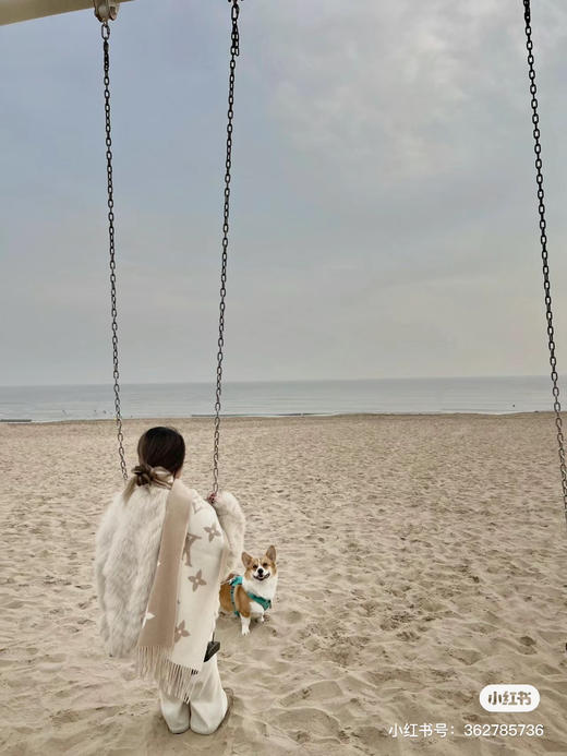 Lv羊绒围巾-浅色奶茶色 商品图8