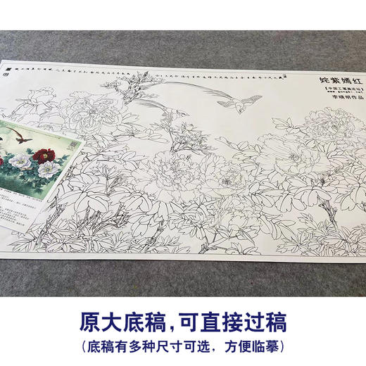 【大彩图】李晓明横幅工笔画白描底稿《姹紫嫣红》牡丹临摹勾线花鸟线稿KA27 商品图1