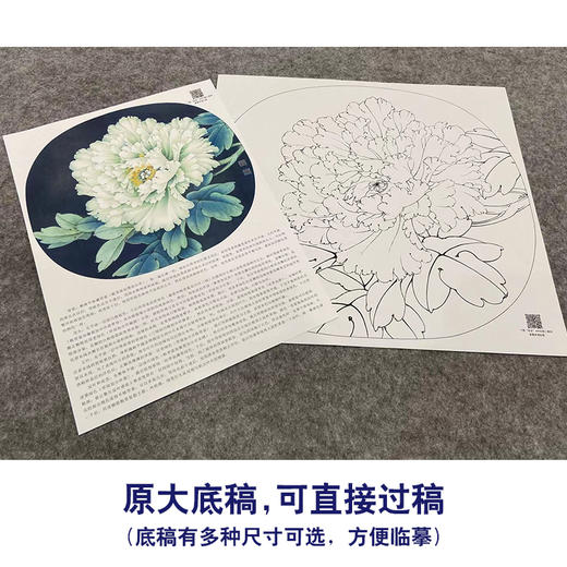 【大彩图】李晓明工笔画白描底稿圆形小品《豆绿》牡丹临摹勾线花鸟线稿KA05 商品图1