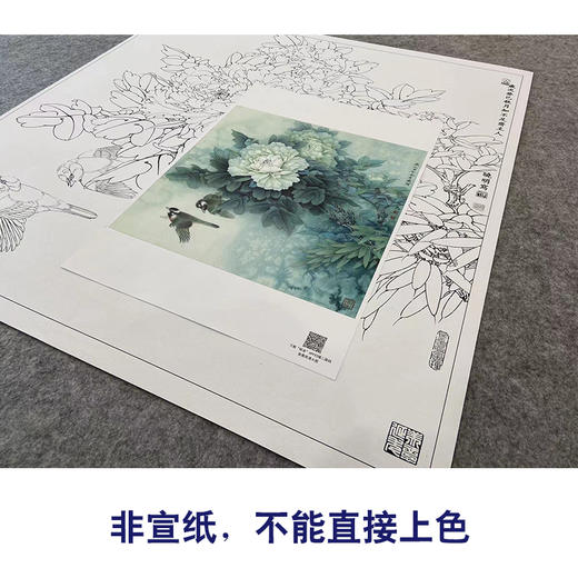 【大彩图】李晓明工笔画白描底稿斗方小品《白头双清》牡丹临摹勾线花鸟线稿K046 商品图2