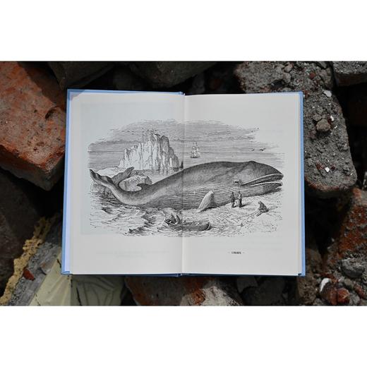 鲸之殇 商品图3