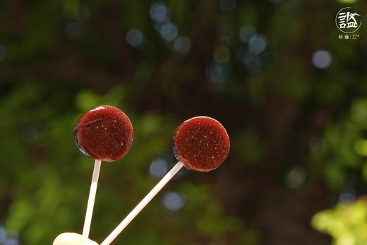 陈皮秋梨膏棒棒糖 商品图2