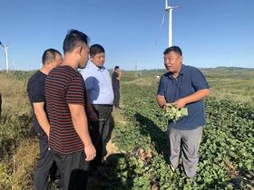 山东长仙丘茗农业科技有限公司