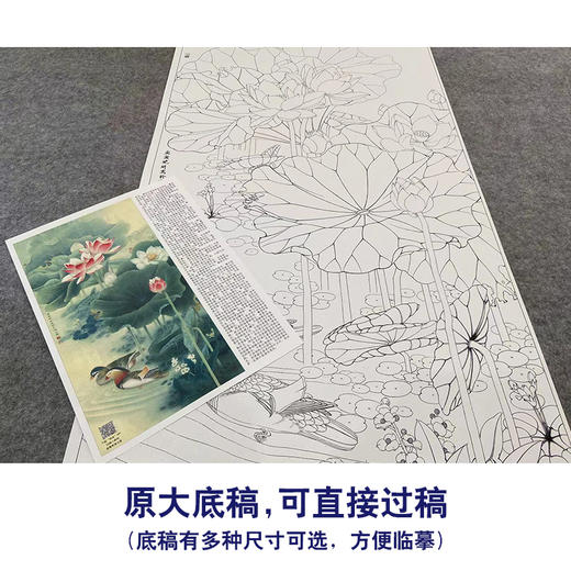【有步骤、大彩图】李晓明工笔画白描底稿《荷塘鸳鸯图》荷花临摹勾线花鸟线稿KA15 商品图1