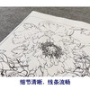 【大彩图】李晓明工笔画白描底稿斗方小品《暖香醉艳》牡丹临摹勾线花鸟线稿K044 商品缩略图4