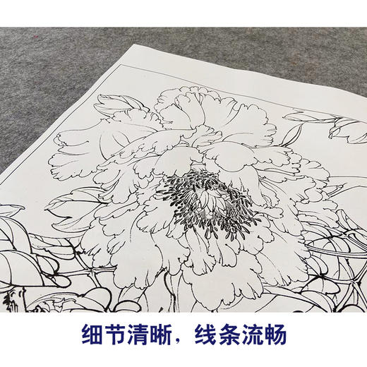 【大彩图】李晓明工笔画白描底稿斗方小品《暖香醉艳》牡丹临摹勾线花鸟线稿K044 商品图4