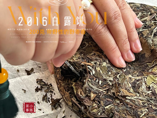 【7年来首发】2016白露饼，太姥山原仓储存，带着野性植物气息的枣香，独树一帜！ 商品图5