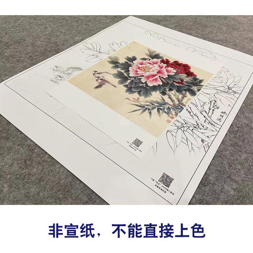 【大彩图】李晓明工笔画白描底稿斗方小品《相约到白头》牡丹临摹勾线花鸟线稿K045 商品图2