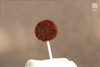 陈皮秋梨膏棒棒糖 商品缩略图0
