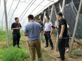 诸城市选康蔬菜种植家庭农场