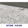 【大彩图】李晓明横幅工笔画白描底稿《总领群芳唯牡丹》牡丹临摹勾线花鸟线稿KA26 商品缩略图4