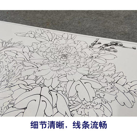 【大彩图】李晓明横幅工笔画白描底稿《总领群芳唯牡丹》牡丹临摹勾线花鸟线稿KA26 商品图4