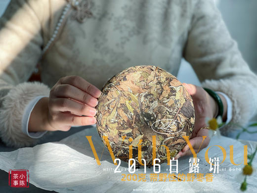 【7年来首发】2016白露饼，太姥山原仓储存，带着野性植物气息的枣香，独树一帜！ 商品图2
