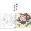 【大彩图】李晓明工笔画白描底稿斗方小品《相约到白头》牡丹临摹勾线花鸟线稿K045 商品缩略图0