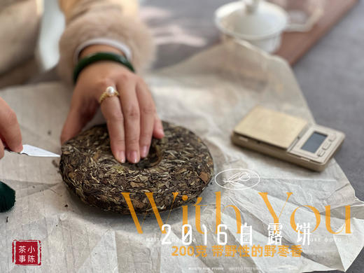 【7年来首发】2016白露饼，太姥山原仓储存，带着野性植物气息的枣香，独树一帜！ 商品图4