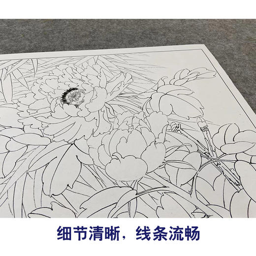 【大彩图】李晓明工笔画白描底稿斗方小品《洛浦春光》牡丹临摹勾线花鸟线稿K042 商品图4