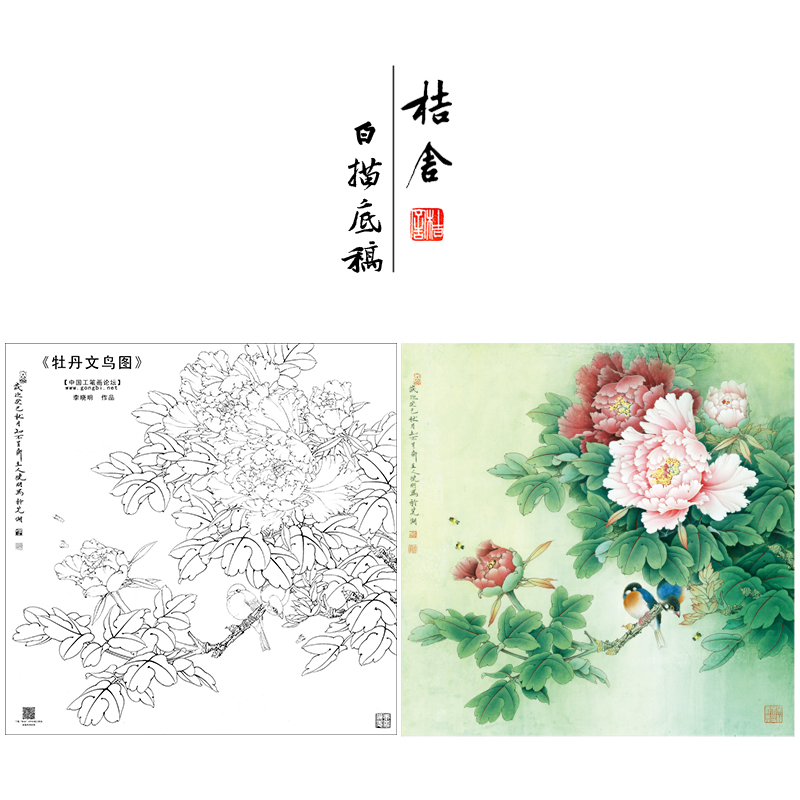 【大彩图】李晓明工笔画白描底稿斗方小品《牡丹灰文鸟》临摹勾线花鸟线稿KA10