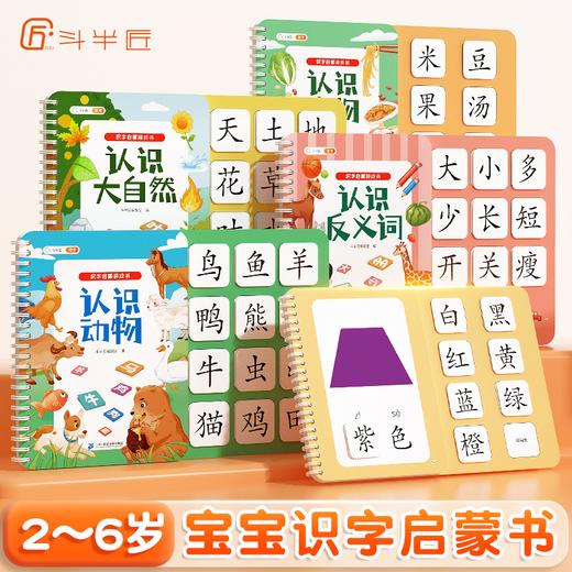 【斗半匠】识字启蒙书宝宝撕拉书幼儿识字卡片 商品图0