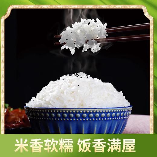 五常稻花香2号大米10kg/袋 商品图2
