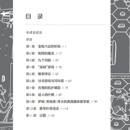 《马丁·加德纳数学游戏全集》（全15册） 商品图3