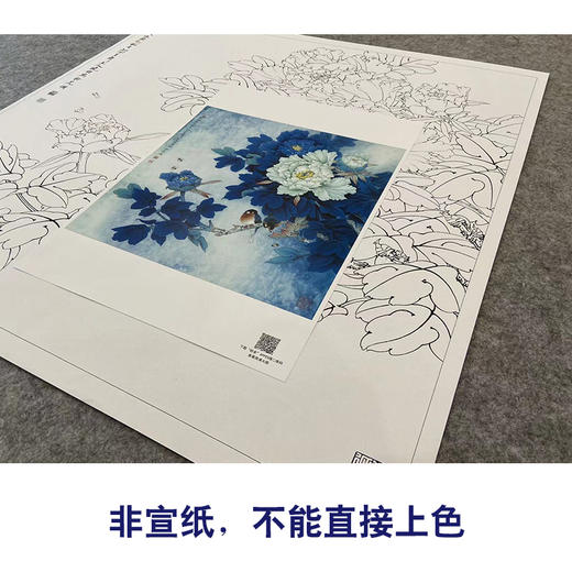 【大彩图】李晓明工笔画白描底稿斗方小品《洛浦初雨》牡丹临摹勾线花鸟线稿K047 商品图2