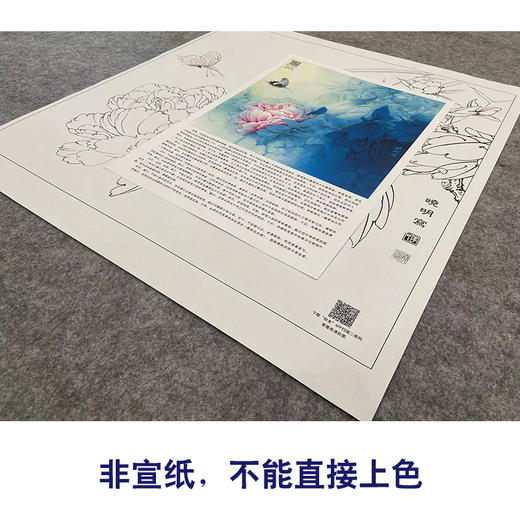 【大彩图】李晓明工笔画白描底稿斗方小品《赵粉凤尾蝶》牡丹临摹勾线花鸟线稿KA09 商品图2