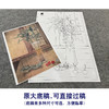 【大彩图】李晓明工笔画白描底稿《玉堂富贵》花瓶如意临摹勾线花鸟线稿K121 商品缩略图1