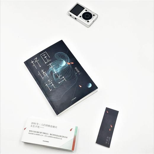 国王与抒情诗 李宏伟 著 商品图4