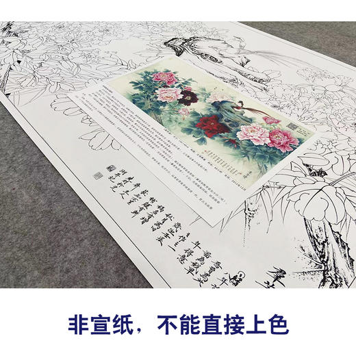 【大彩图】李晓明横幅工笔画白描底稿《群芳谱》牡丹临摹勾线花鸟线稿KA25 商品图2