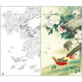 【大彩图】李晓明工笔画白描底稿《锦绣前程图》牡丹锦鸡临摹勾线花鸟线稿K049