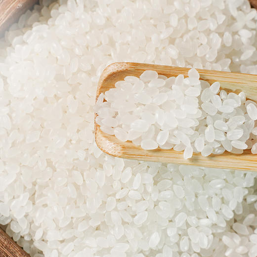 溢田有机寒地鲜香米5kg 商品图1