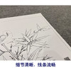 【大彩图】李晓明工笔画白描底稿斗方小品《临宋竹雀图》临摹勾线花鸟线稿K071 商品缩略图4